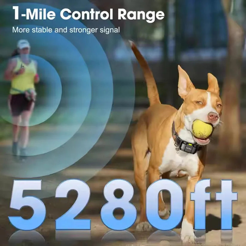 PETRAINER® PET625 Remote Dog Training E-Collar 1600m 1-2 Dogs