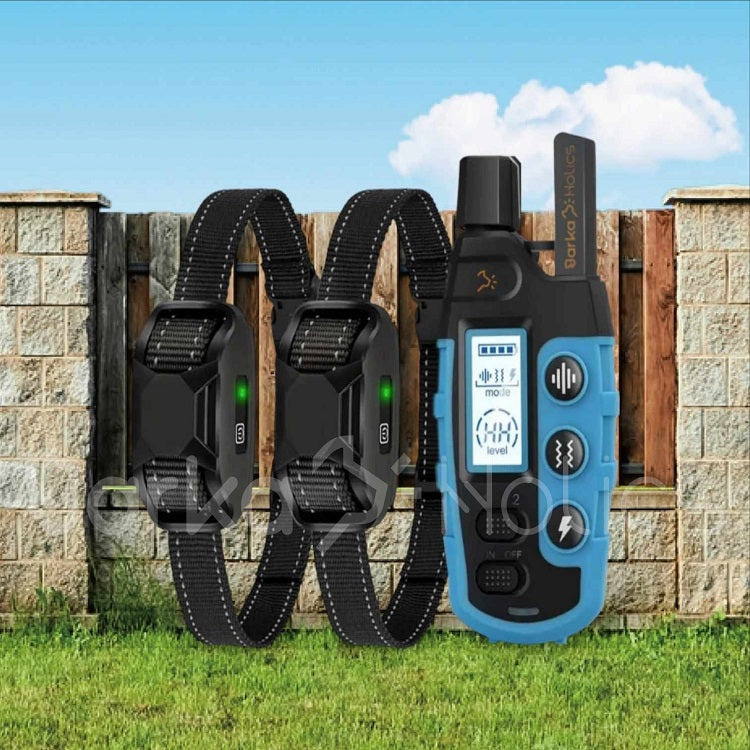 RS2 Remote Dog Training Collar 1-2 Dogs 1000m