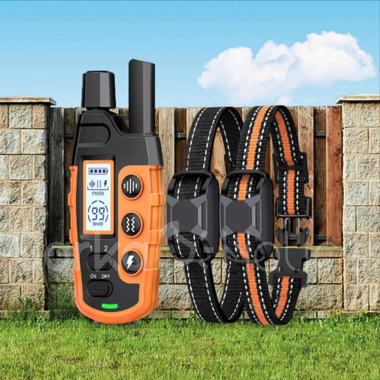 RS2 Remote Dog Training Collar 1-2 Dogs 1000m
