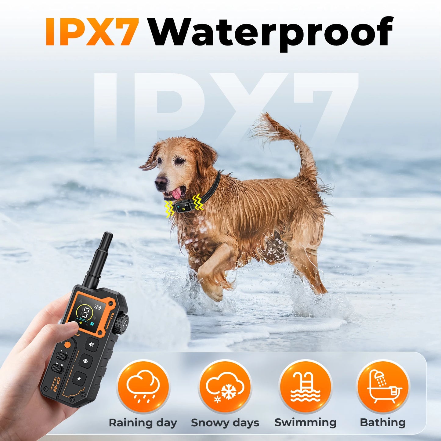 PETRAINER® CP69 Remote Dog Training E-Collar 1000m 1-2 Dogs