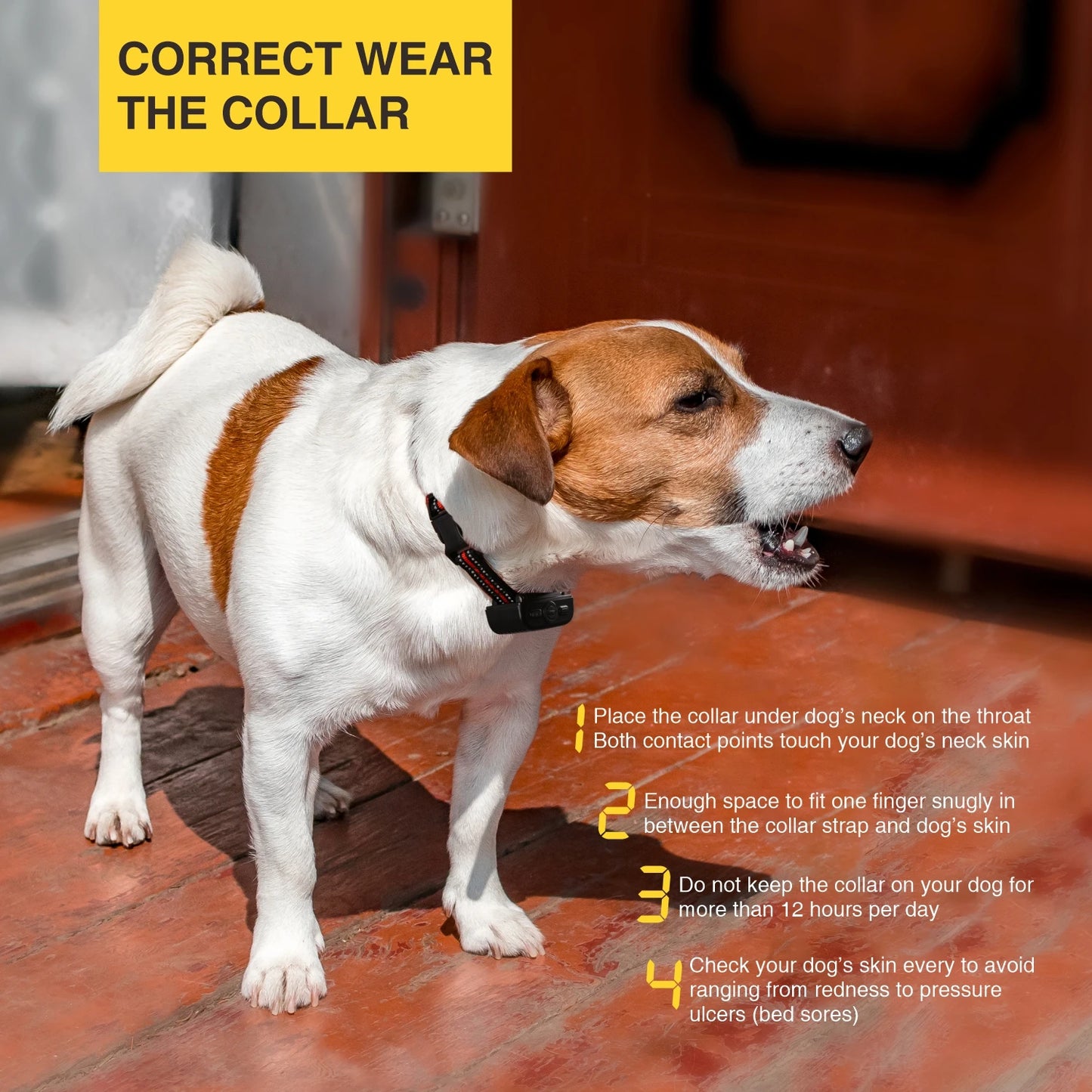 BH500R 2-in-1 Anti-Bark and Remote Dog Training Collar 1-2 Dogs 600m