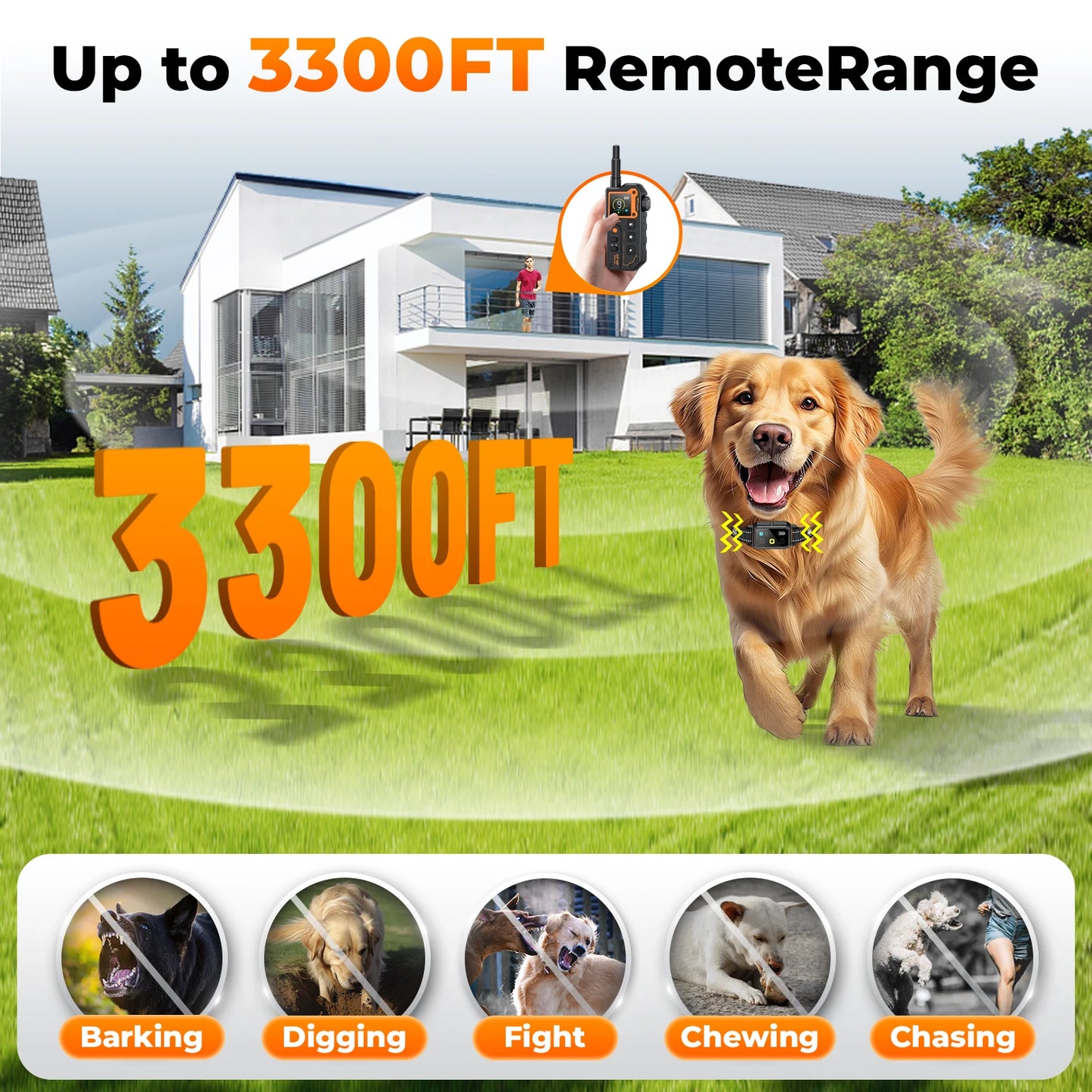 PETRAINER® CP69 Remote Dog Training E-Collar 1000m 1-2 Dogs