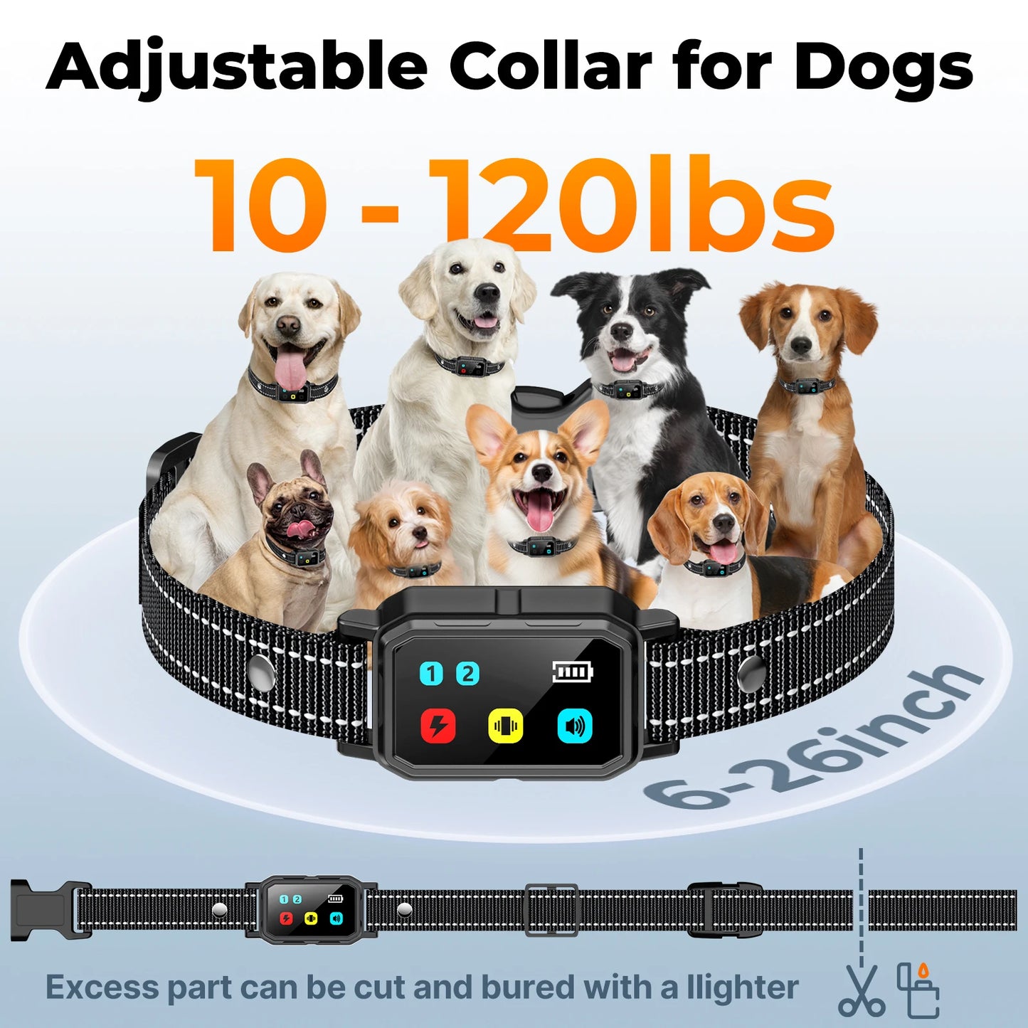 PETRAINER® CP69 Remote Dog Training E-Collar 1000m 1-2 Dogs