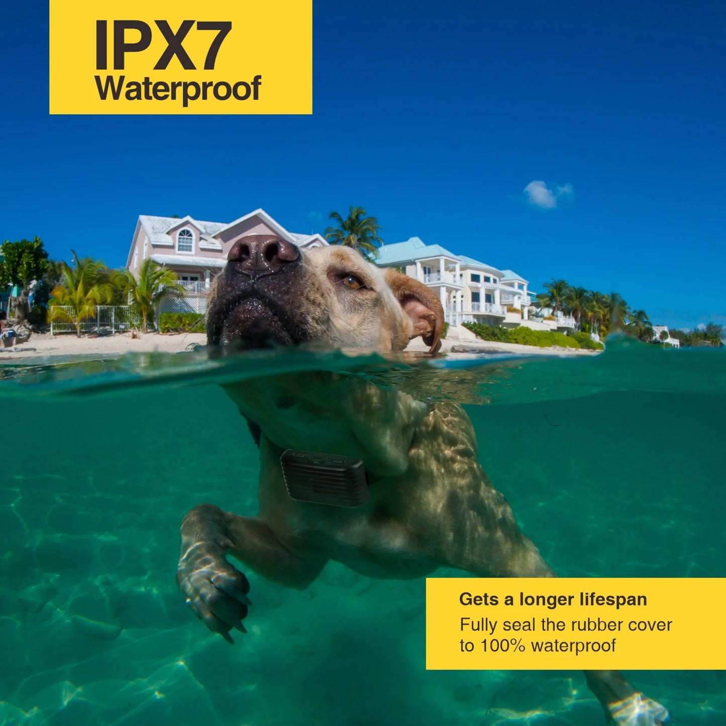 BH500R 2-in-1 Anti-Bark and Remote Dog Training Collar 1-2 Dogs 600m